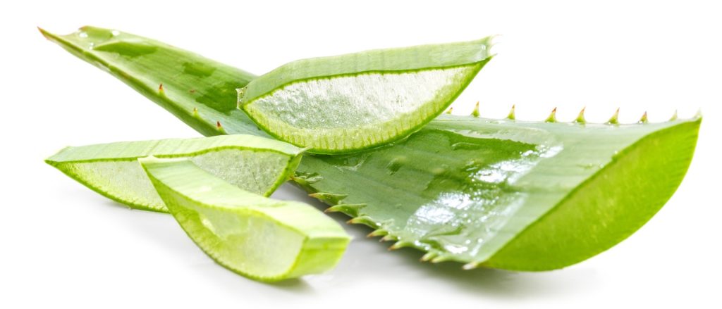 Curare con l'Aloe Vera