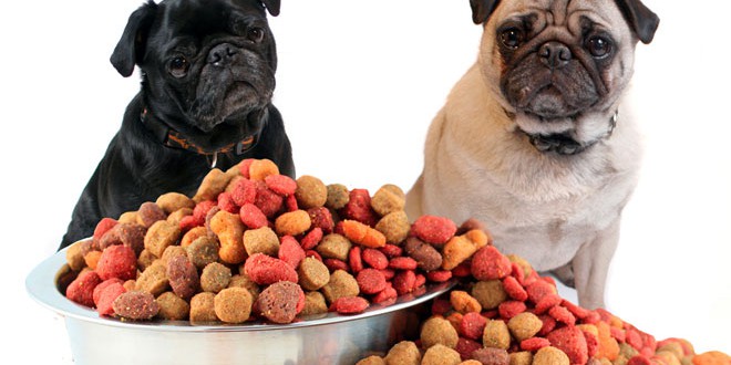 Dieta per allergie alimentare del cane